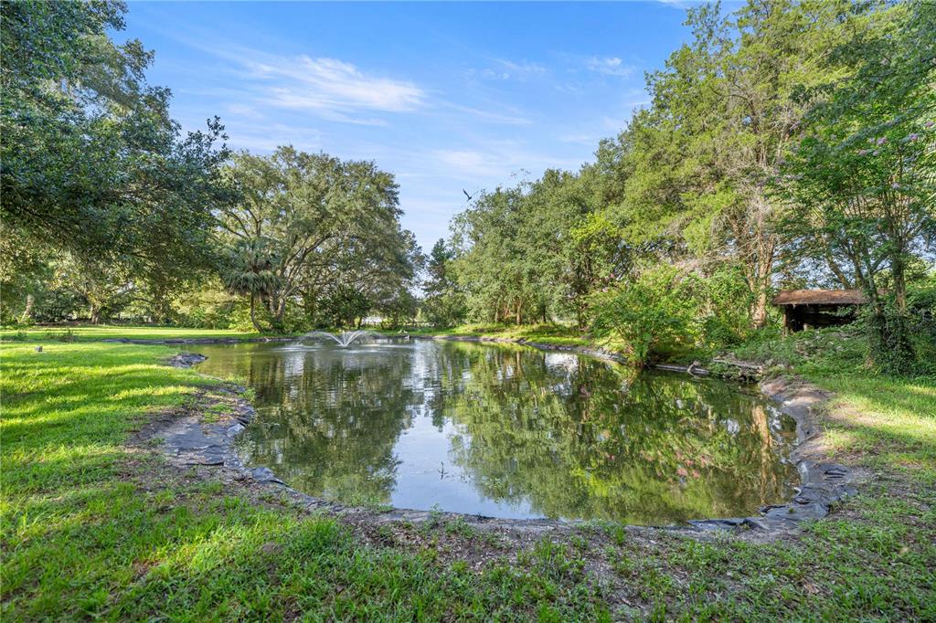 16250 Southwest 20th Avenue Road Ocala, FL 34473 - Photo 49 of 75