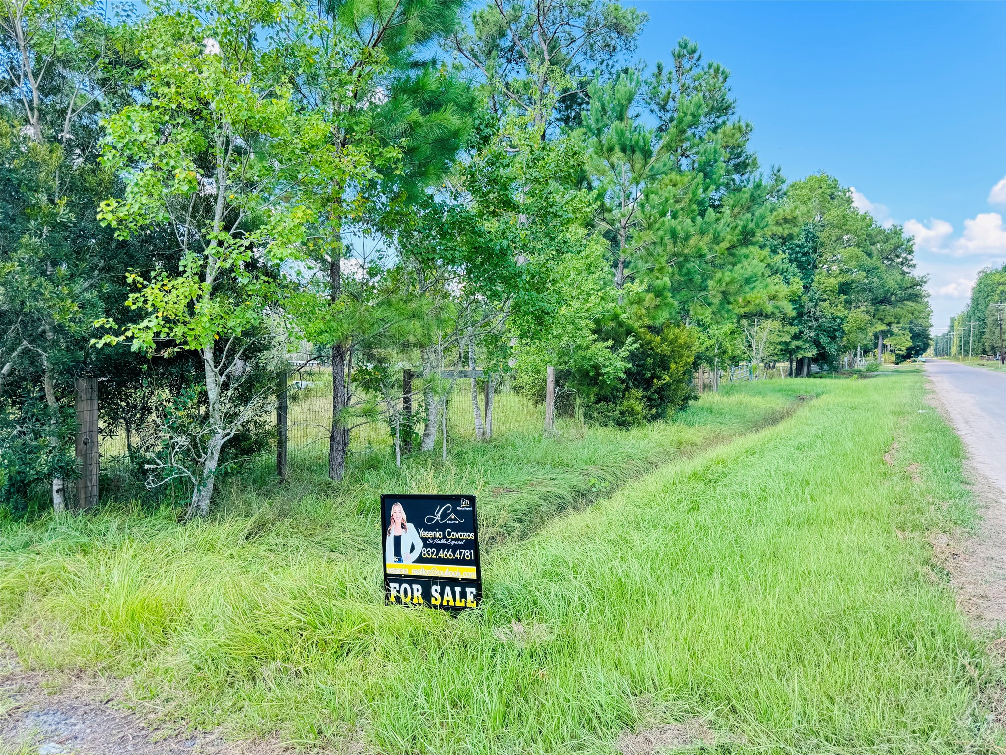 2736 Whitetail Forest Road Kountze, TX 77625 - Photo 6 of 17 Gallery Image 6