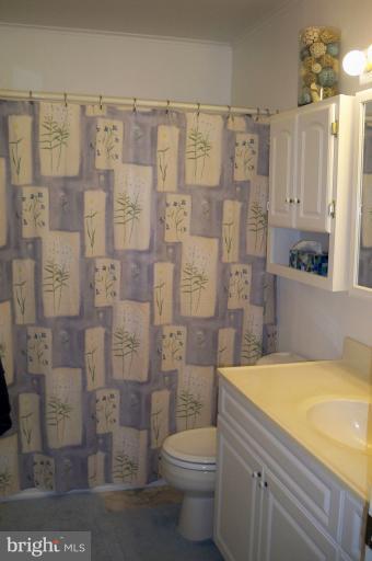 1009 Dunholme Road Reisterstown, MD 21136 - Photo 21 of 25 Bath