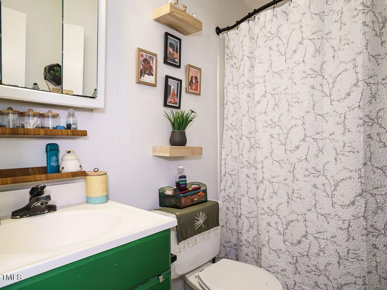 713 Godwin Court Raleigh, NC 27606 - Photo 25 of 29 a bathroom with a toilet sink and mirror