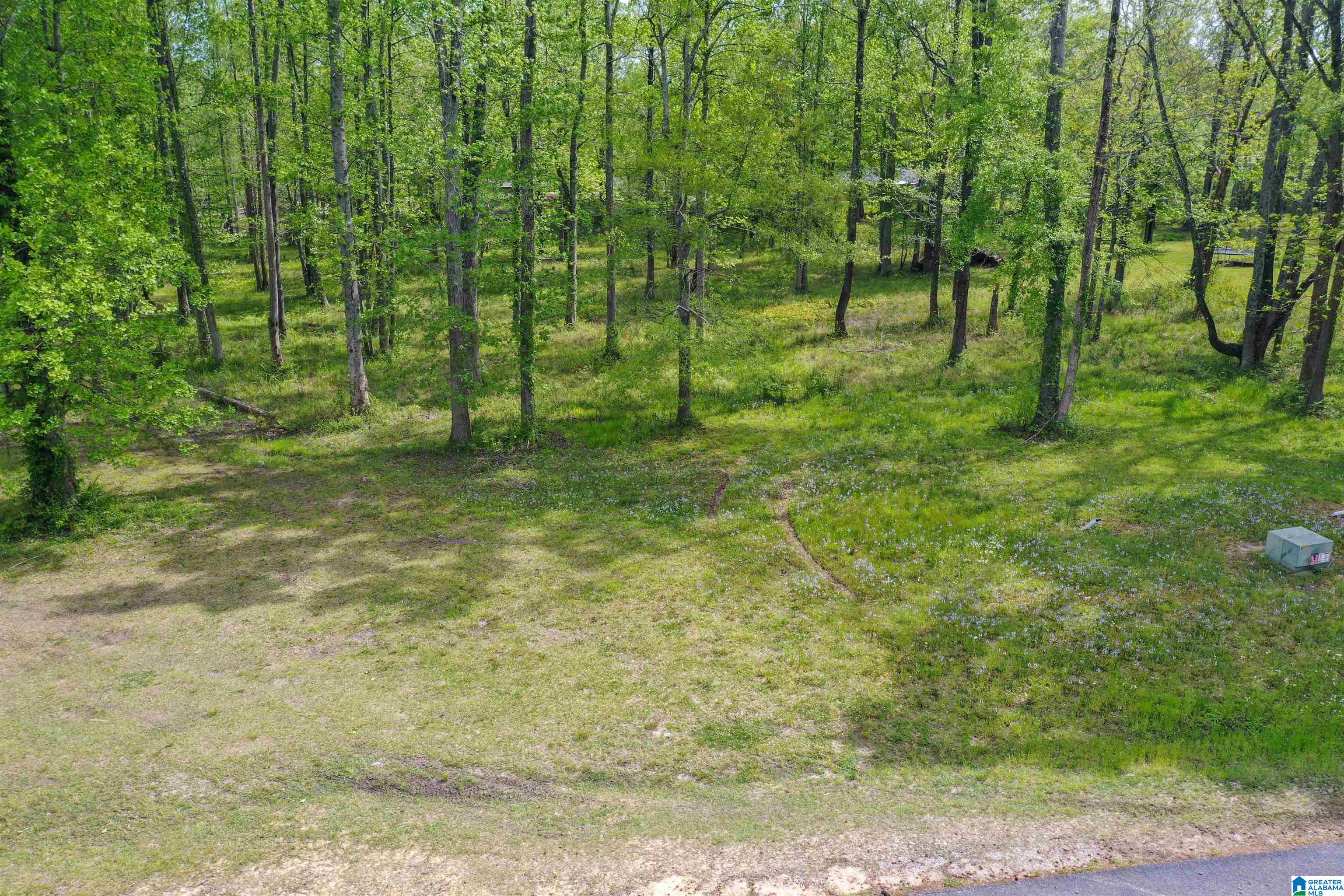797 County Road Clanton, AL 35045 - Photo 5 of 44