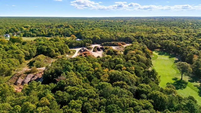 an aerial view of residential houses with outdoor space and trees