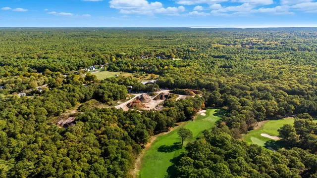 an aerial view of residential houses with outdoor space and trees