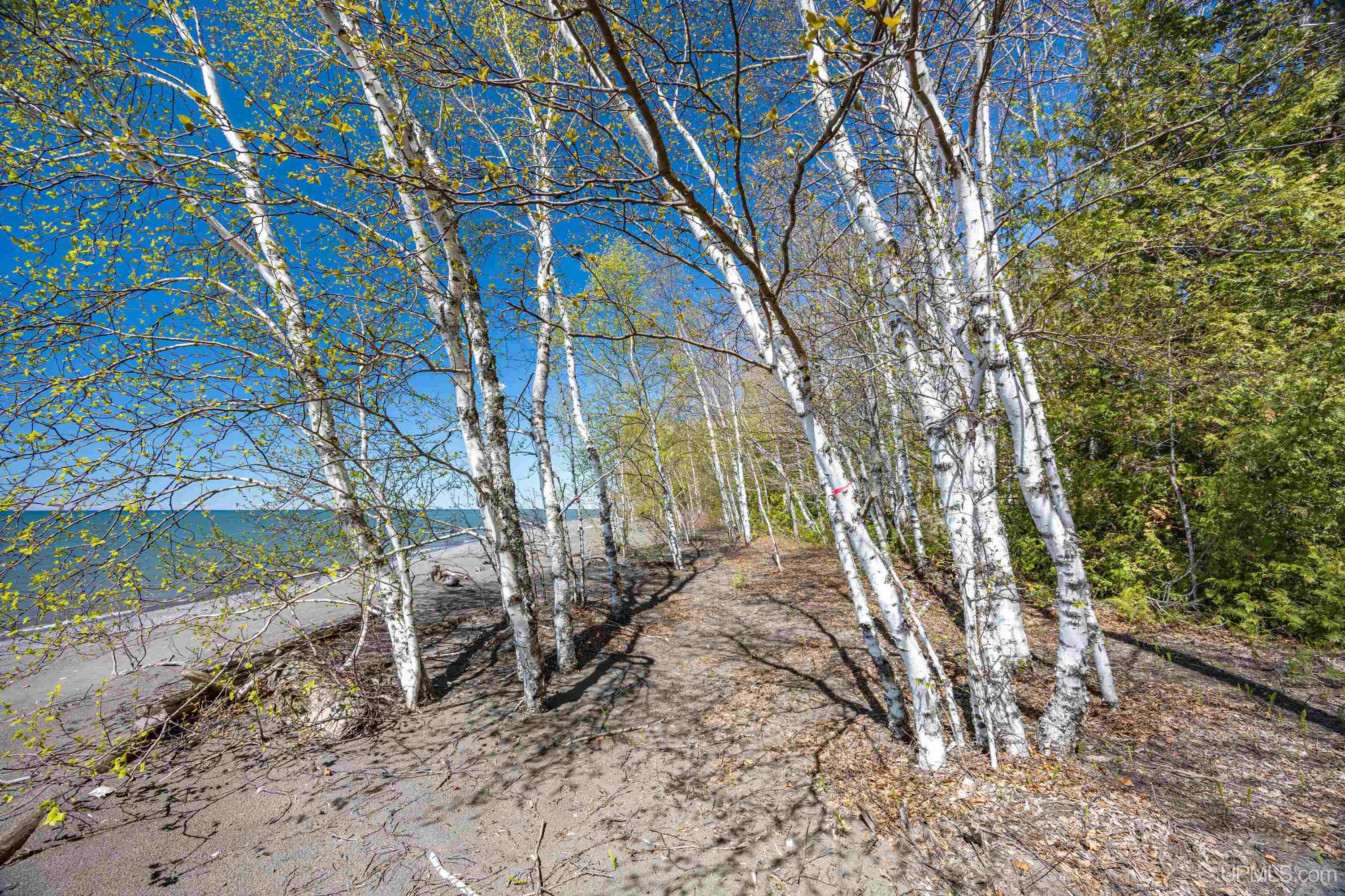 49190 Upper Freda Shores Road Atlantic Mine, MI 49905 - Photo 45 of 68