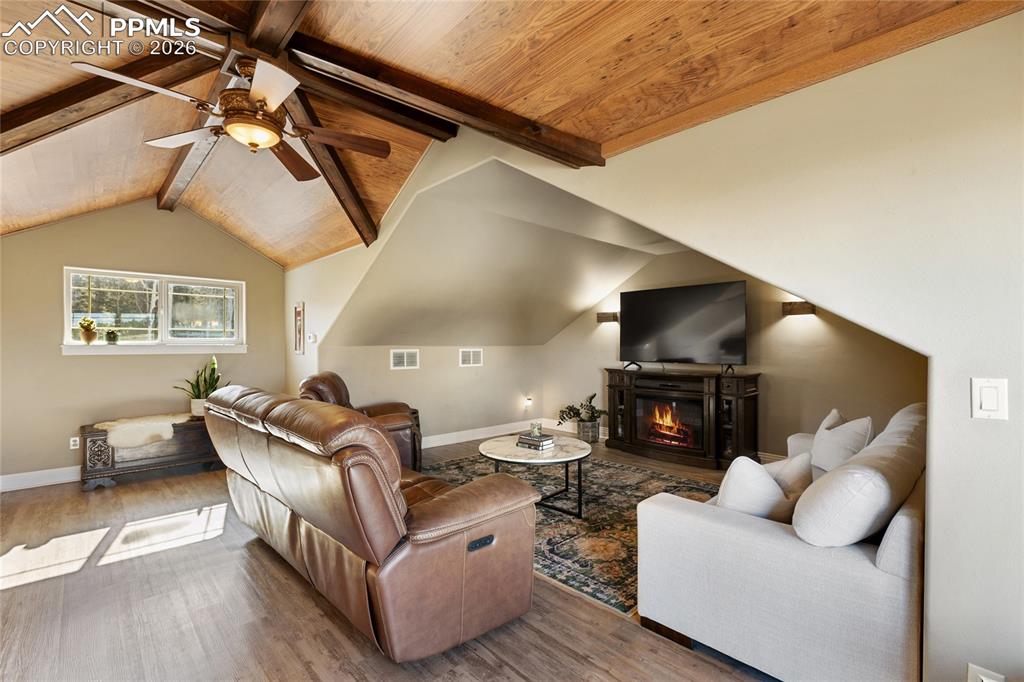 19 Worley Road Divide, CO 80814 - Photo 14 of 33 Movie night awaits!