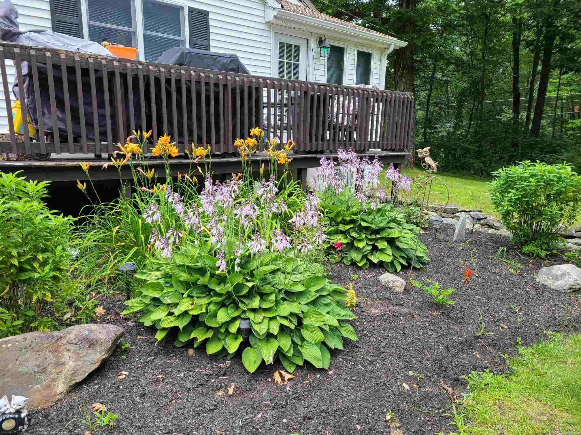 1236 Turnpike Road New Ipswich, NH 03071 - Photo 26 of 29