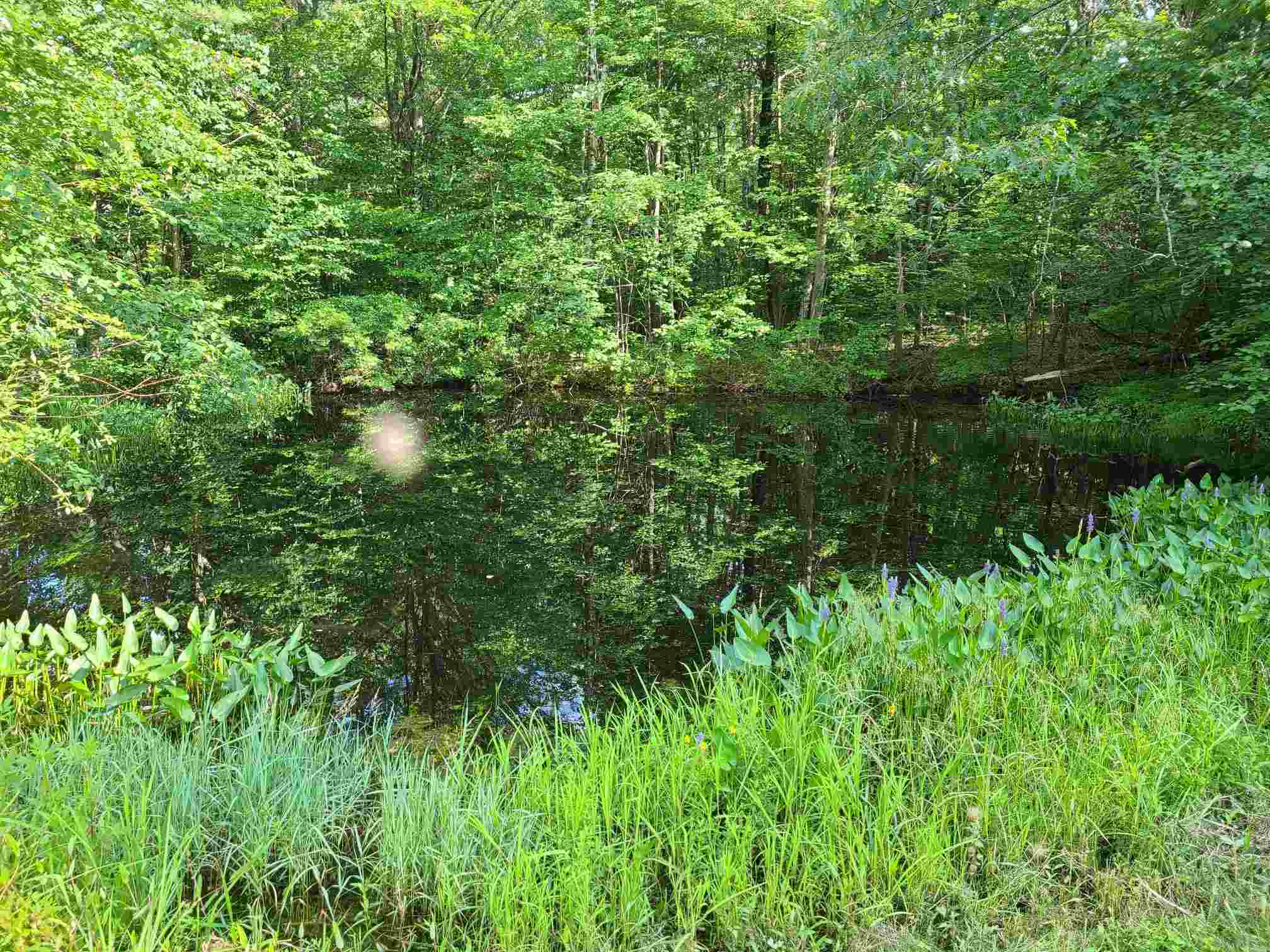 1236 Turnpike Road New Ipswich, NH 03071 - Photo 28 of 29