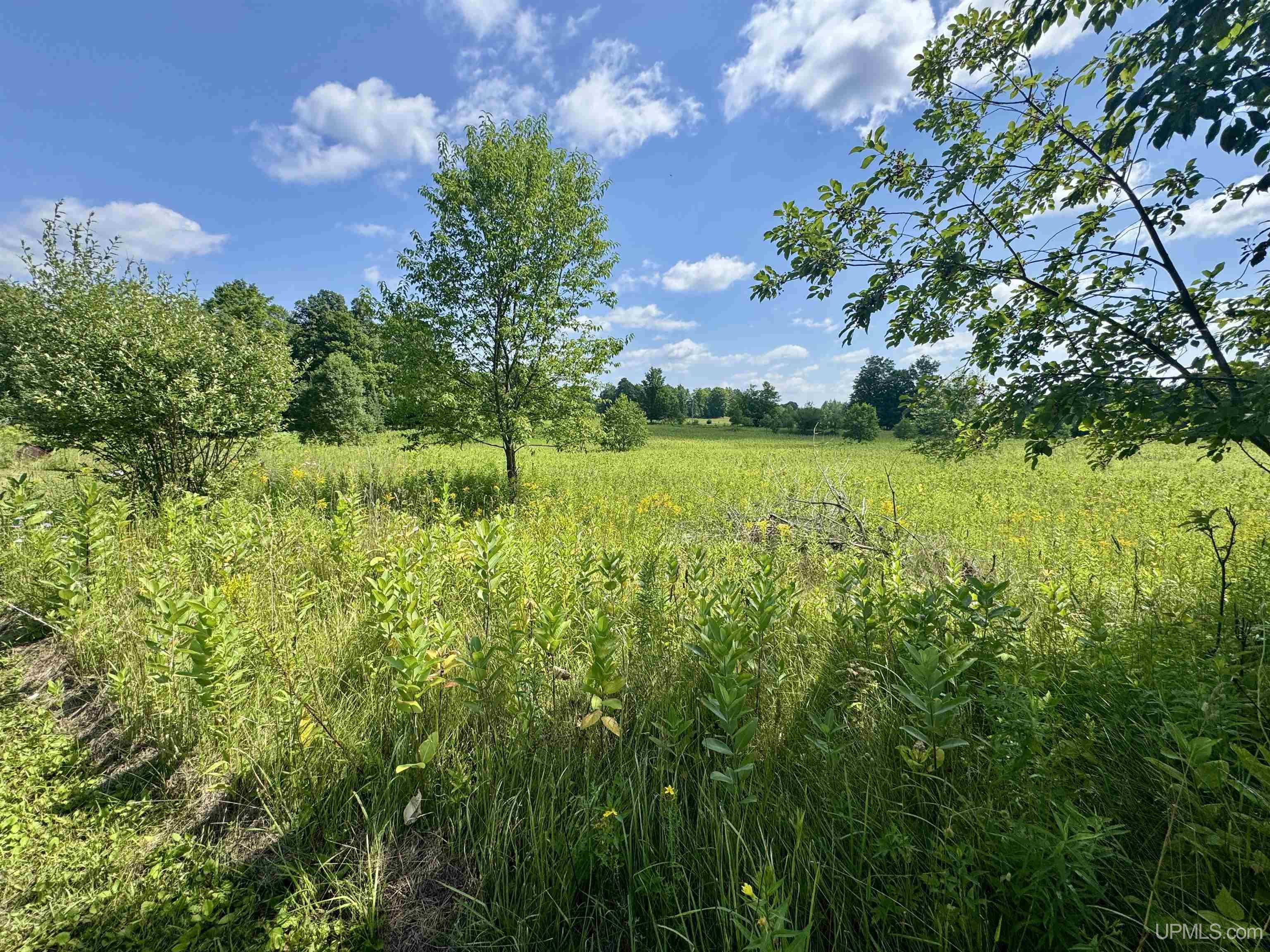 289 Wright Road Crystal Falls, MI 49920 - Photo 35 of 57 Gallery Image 35