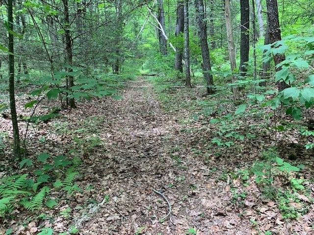 840 Lower Back Creek Road Monterey, VA 24465 - Photo 38 of 49 Gallery Image 38