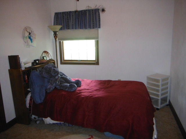3190 Swaney Road McNabb, IL 61335 - Photo 7 of 20