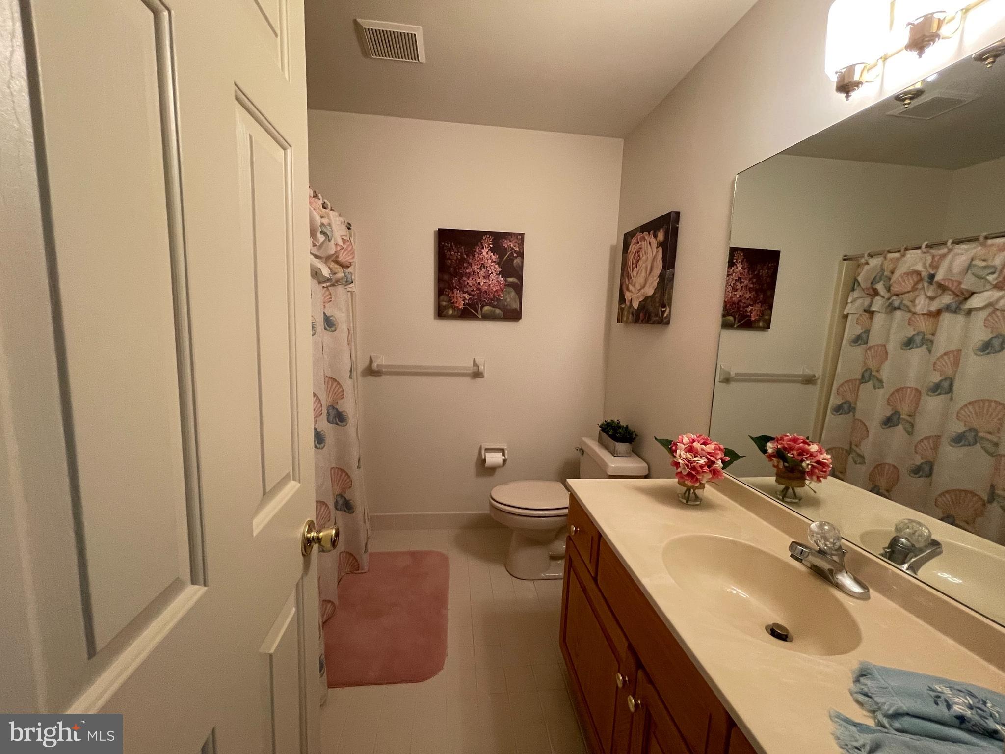 374 Spring Mill Road Chadds Ford, PA 19317 - Photo 23 of 27 Upstairs Hall Bathroom