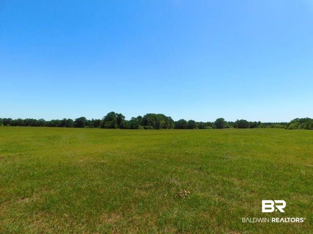 5884 A Saroadine Road Brewton, AL 36426 - Photo 6 of 16