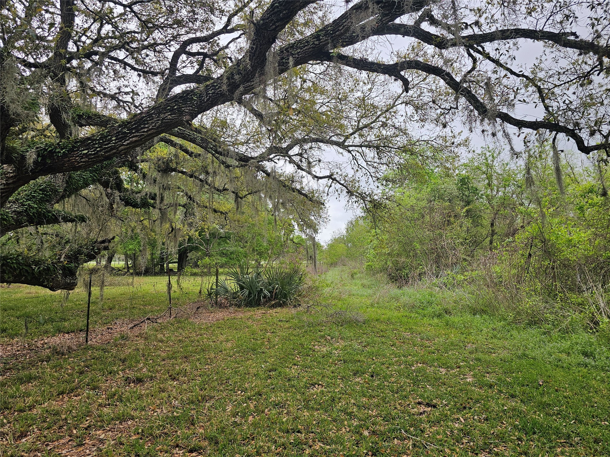 20146 Highway 35 Sweeny, TX 77480 - Photo 19 of 44 a view of an outdoor space and yard