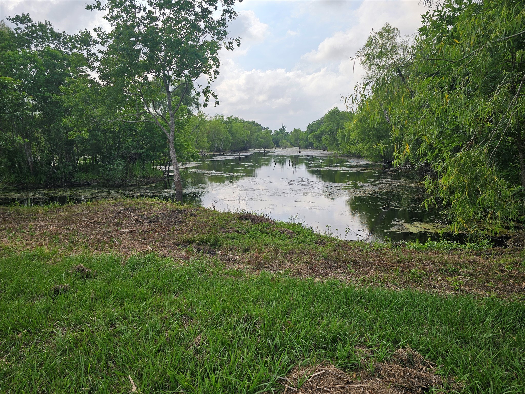 20146 Highway 35 Sweeny, TX 77480 - Photo 25 of 44