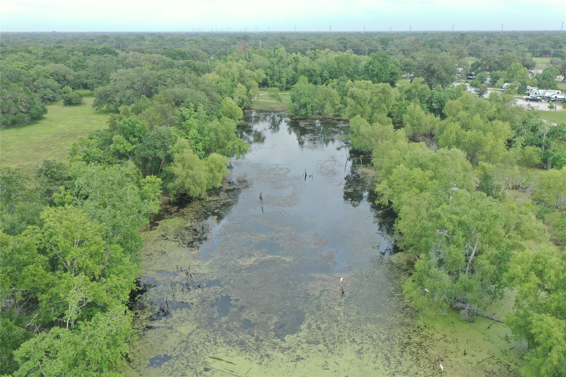 20146 Highway 35 Sweeny, TX 77480 - Photo 33 of 44 a view of a forest with a yard