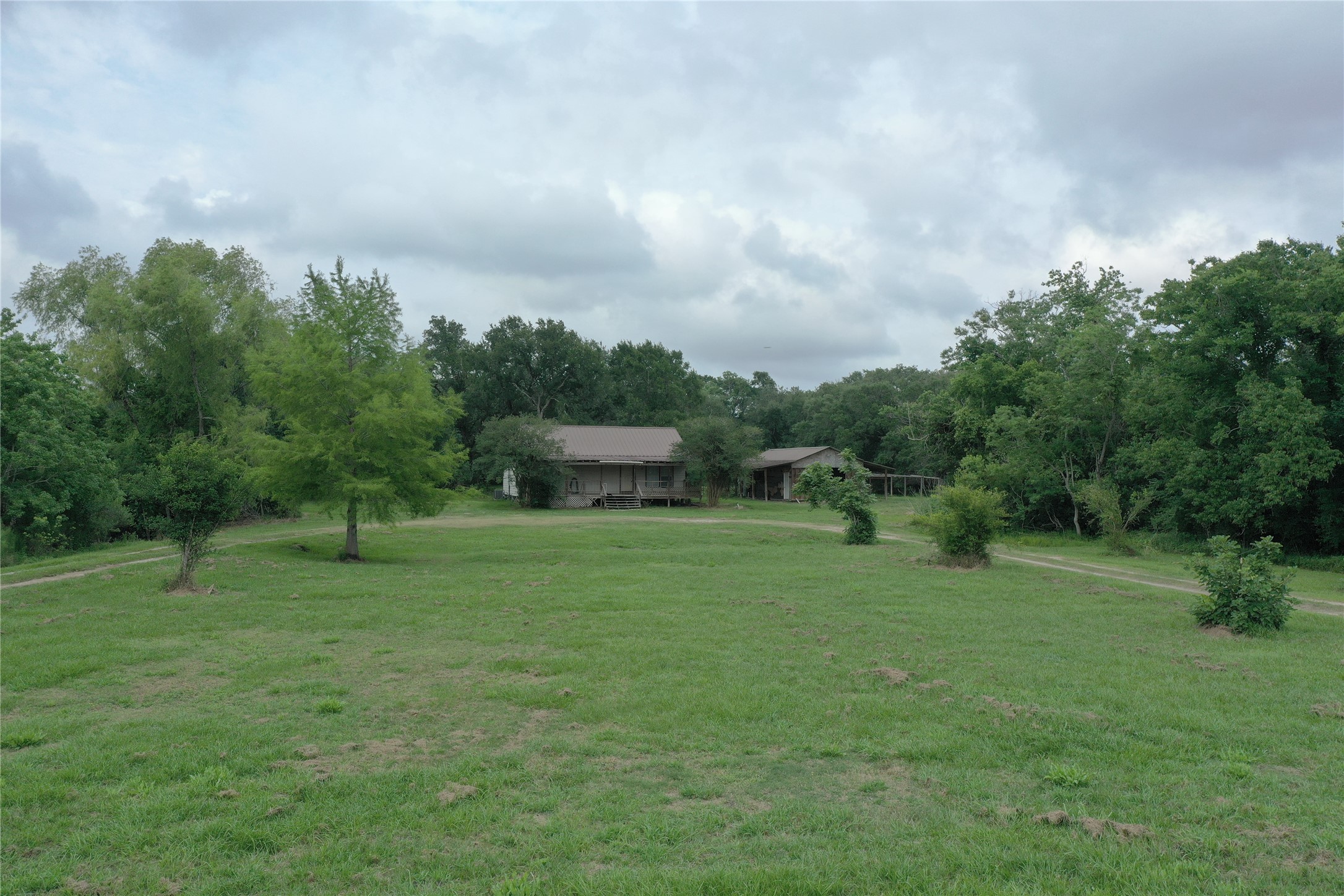 20146 Highway 35 Sweeny, TX 77480 - Photo 42 of 44 a big yard with lots of green space and plants