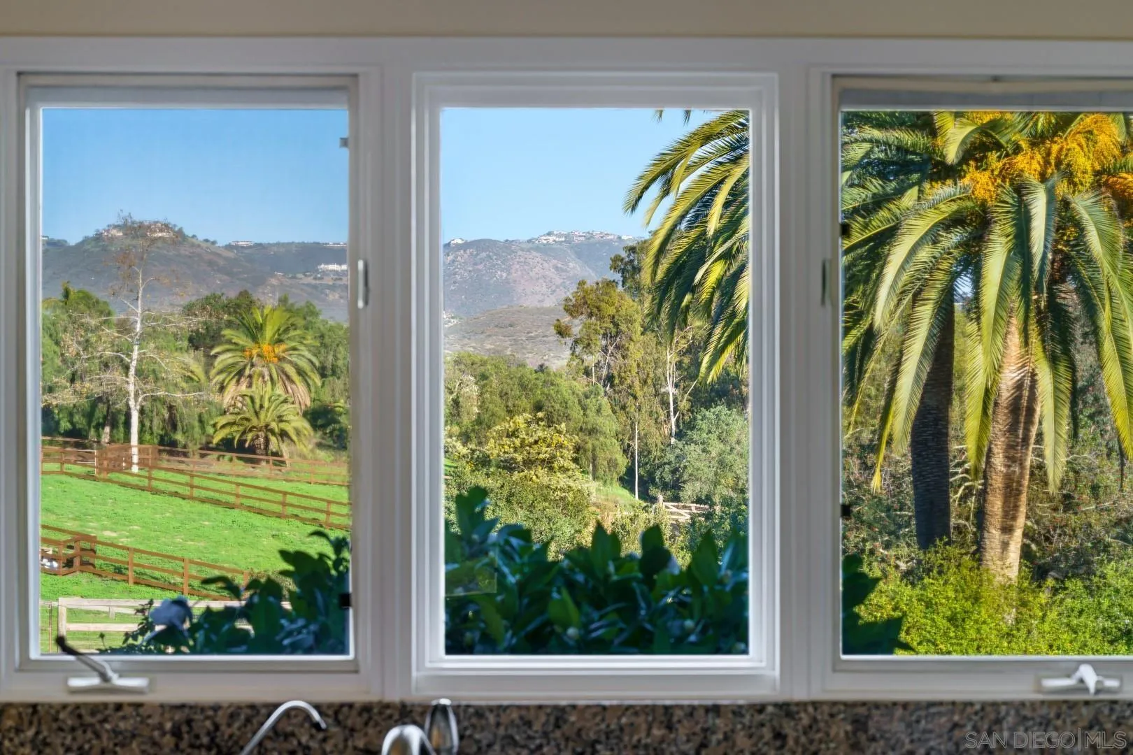 6531 Lago Lindo Rancho Santa Fe, CA 92067 - Photo 16 of 53 a view of a yard from a window