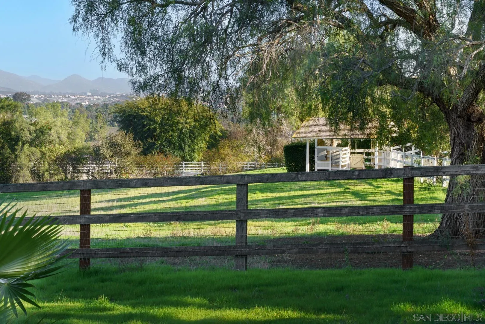6531 Lago Lindo Rancho Santa Fe, CA 92067 - Photo 31 of 53 a view of park with large trees