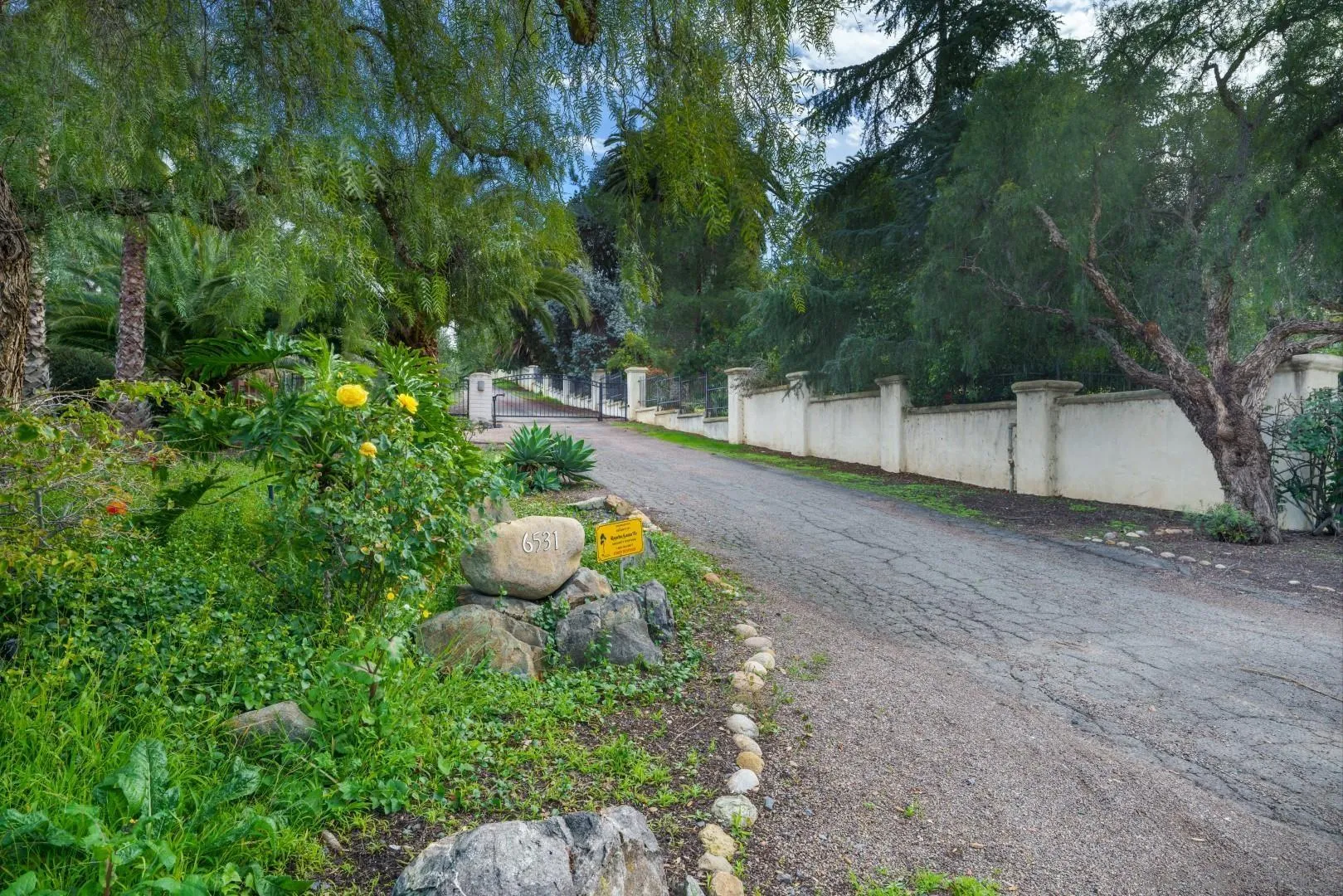 6531 Lago Lindo Rancho Santa Fe, CA 92067 - Photo 6 of 53 a view of a backyard