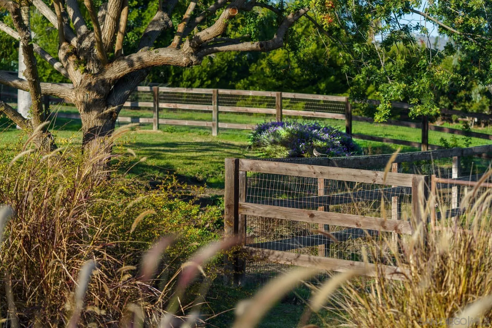 6531 Lago Lindo Rancho Santa Fe, CA 92067 - Photo 9 of 53 a view of yard with green space