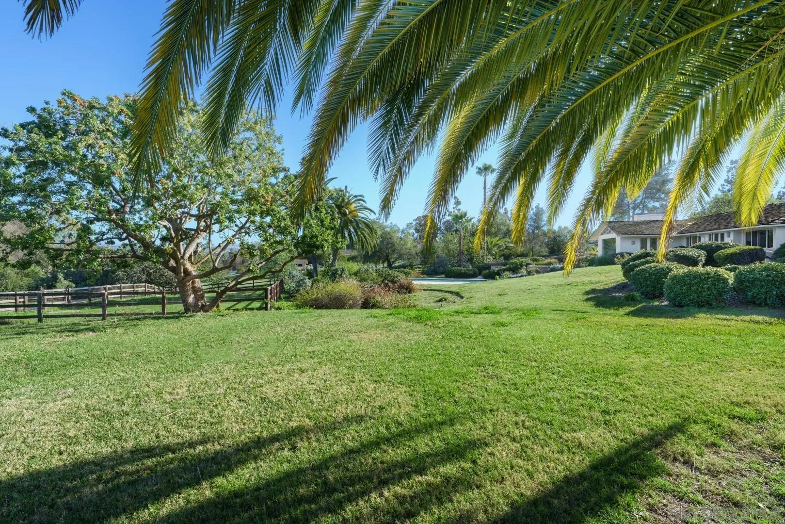 6531 Lago Lindo Rancho Santa Fe, CA 92067 - Photo 10 of 53 a view of backyard with green space