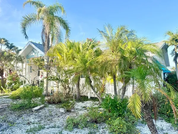 a view of a yard with plants and large trees
