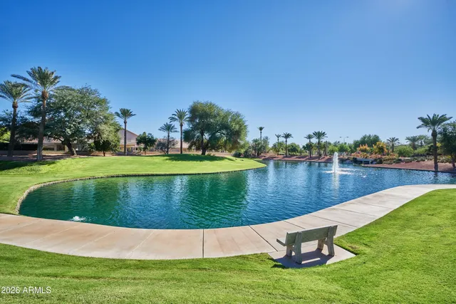 a view of a grassy field with an trees