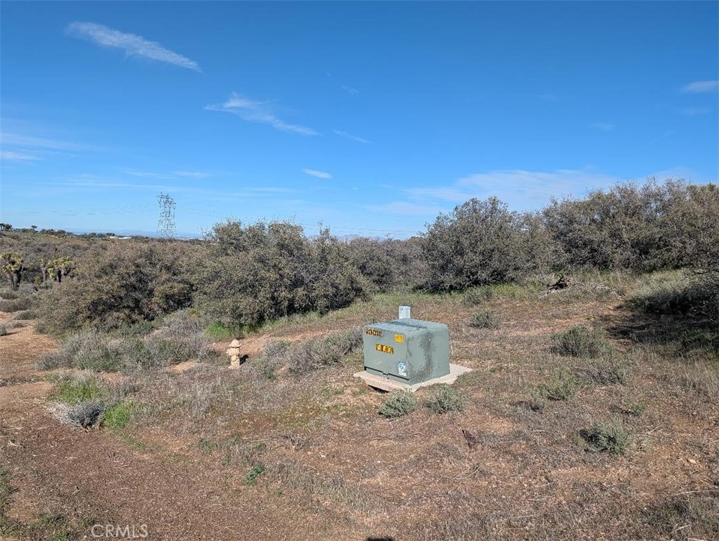 21 Atsina Road Phelan, CA 92371 - Photo 11 of 11 a view of a dry yard with trees