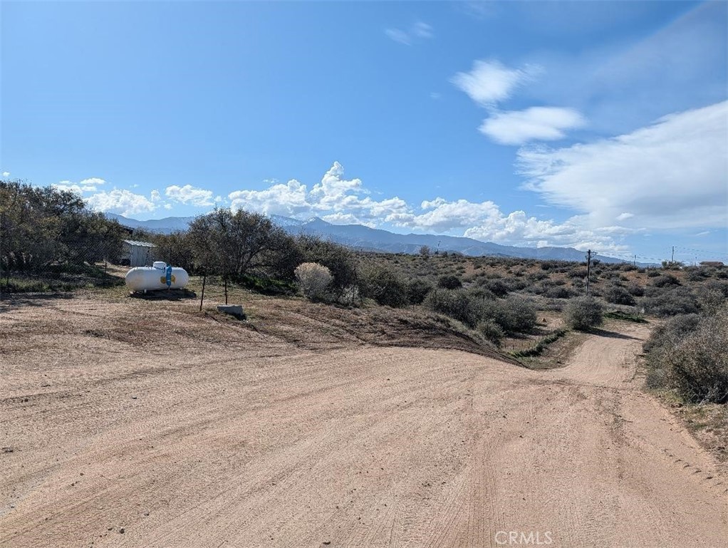 21 Atsina Road Phelan, CA 92371 - Photo 6 of 11 a view of a dry yard