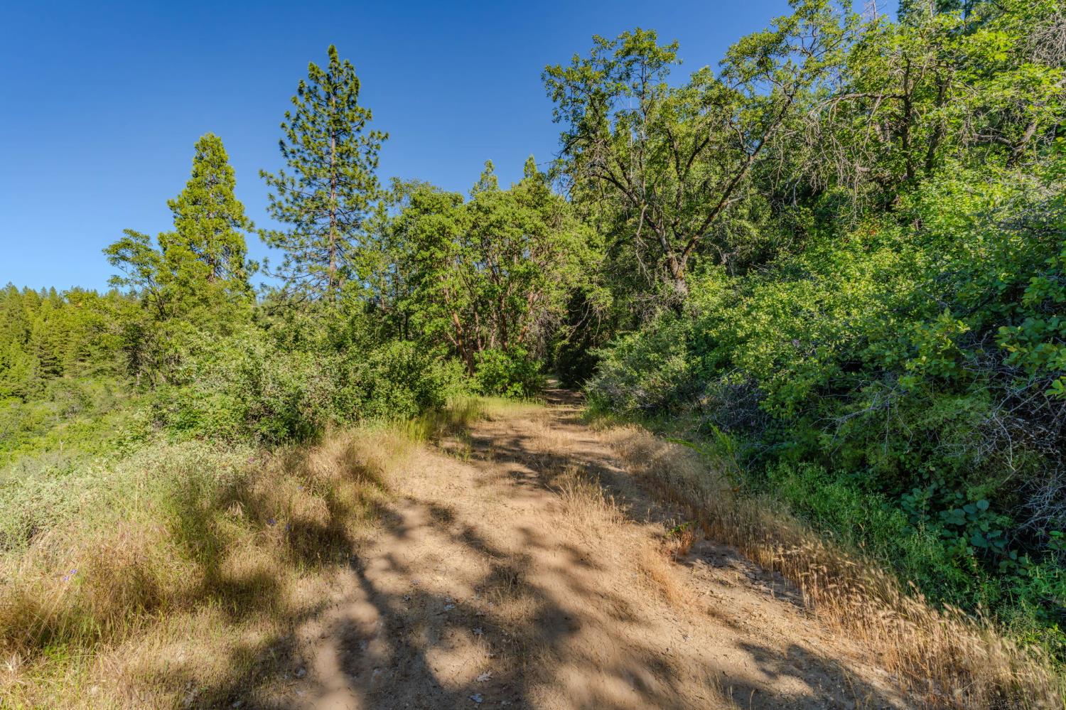 0 Schaefer Ranch Road Pioneer, CA 95666 - Photo 53 of 72