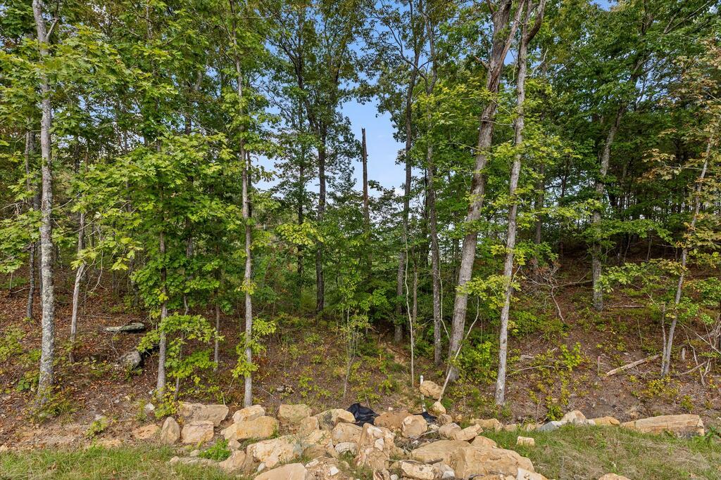 5370 River Bend Road Nashville, TN 37221 - Photo 24 of 41 Gallery Image 24