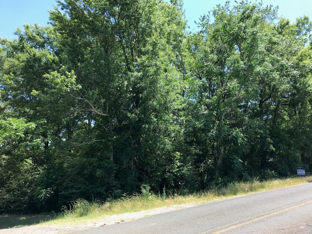 408 McElmurray Farm Road Jackson, SC 29831 - Photo 1 of 1 Main View