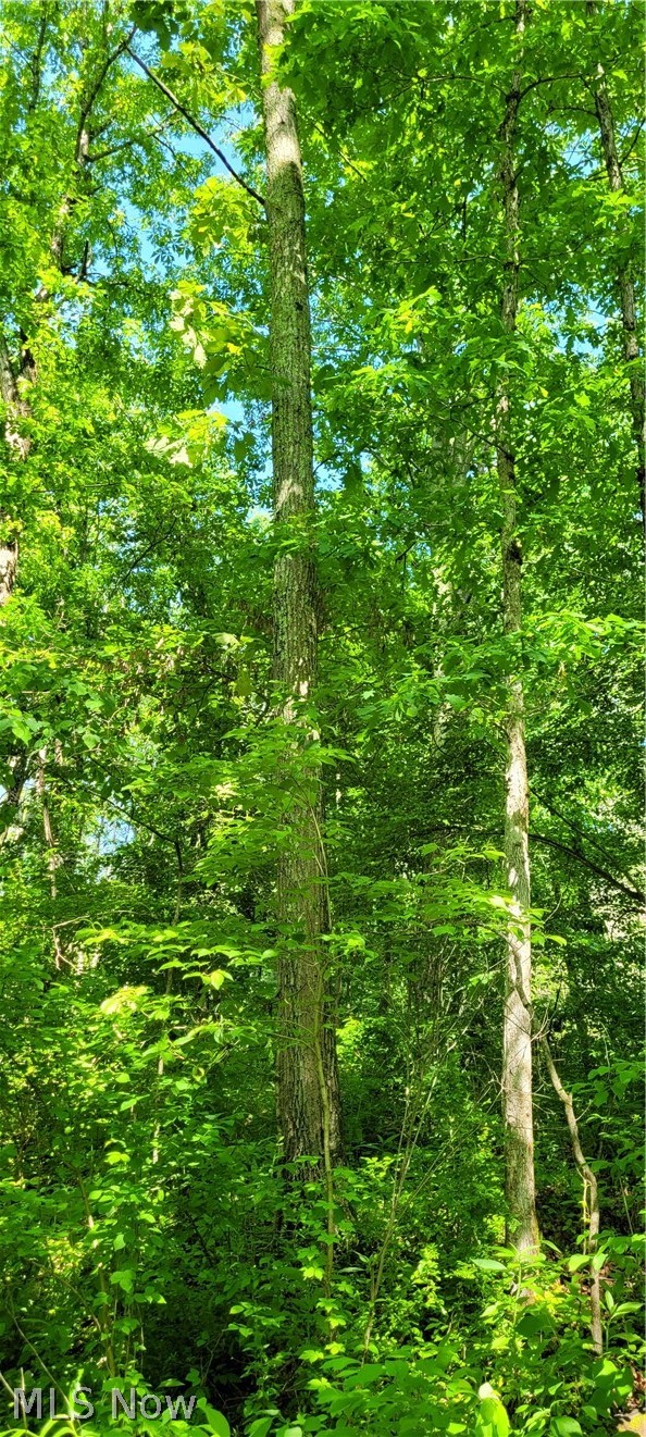Hollis Clark Road Caldwell, OH 43724 - Photo 21 of 49