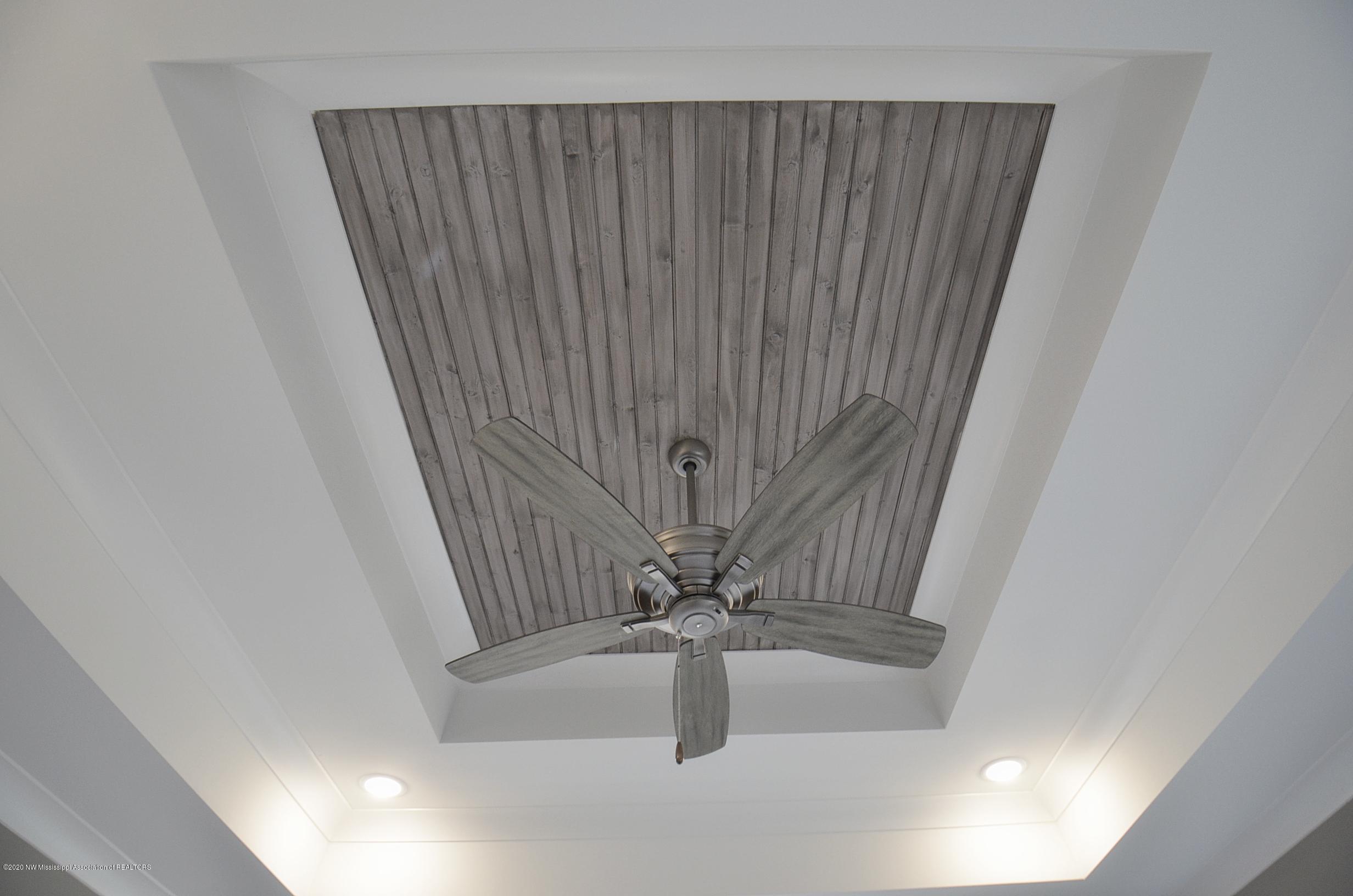 14596 Hidden Loop Byhalia, MS 38611 - Photo 17 of 31 Master bedroom ceiling
