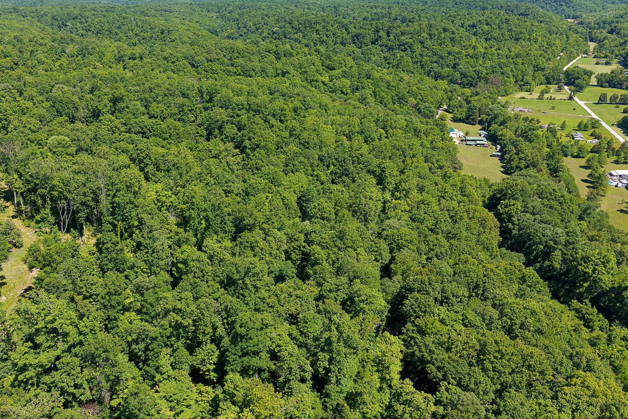 0 Mayberry Prong Road Linden, TN 37096 - Photo 21 of 24