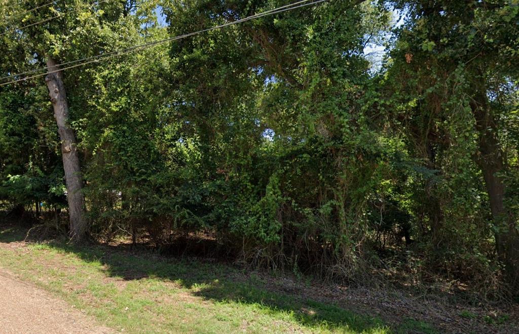 2192 Hickory Street Mabank, TX 75156 - Photo 2 of 6 a view of a lake