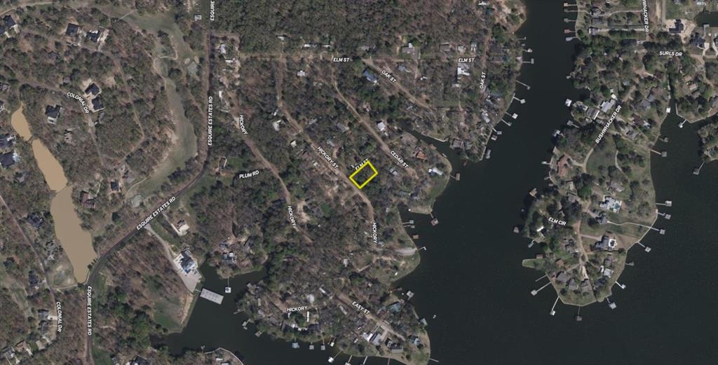 2192 Hickory Street Mabank, TX 75156 - Photo 3 of 6 a picture of tree