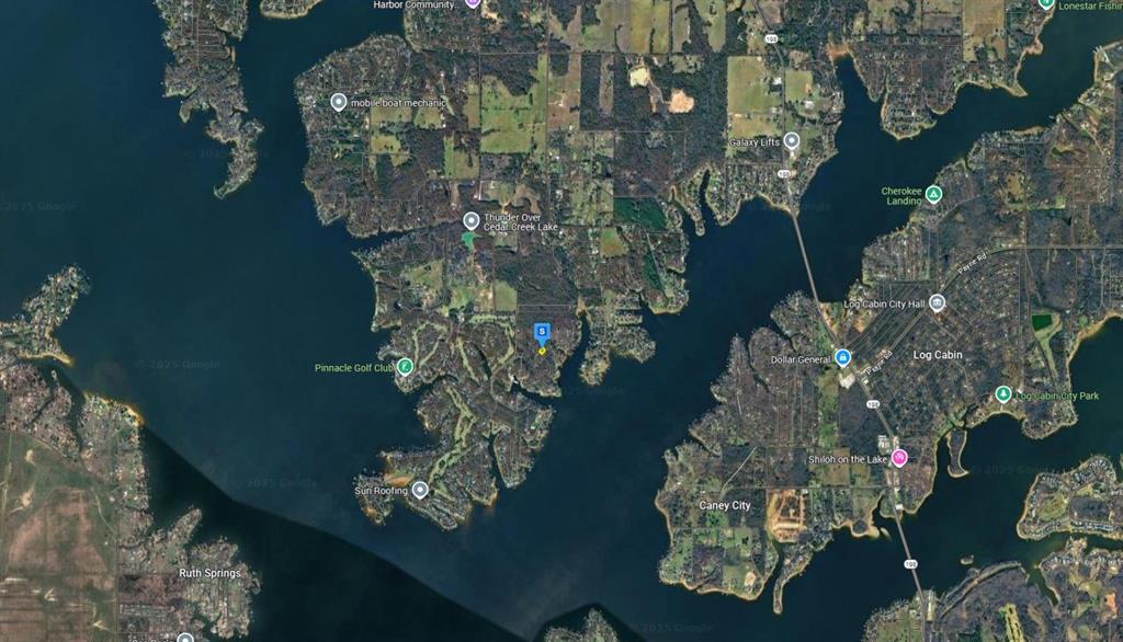 2192 Hickory Street Mabank, TX 75156 - Photo 4 of 6 a vase of flowers sitting on a table