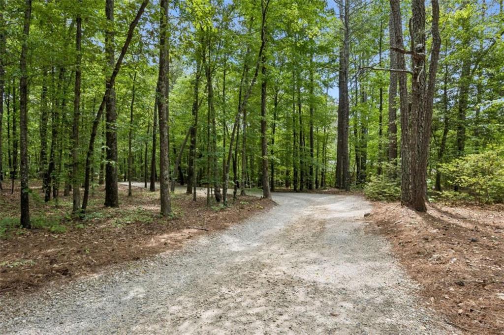 4751 Bill Cheek Road Auburn, GA 30011 - Photo 3 of 82 a view of outdoor space and trees