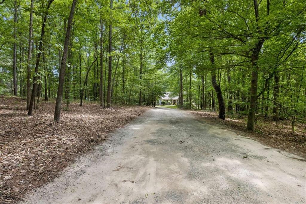 4751 Bill Cheek Road Auburn, GA 30011 - Photo 4 of 82 a view of a forest with trees in the background