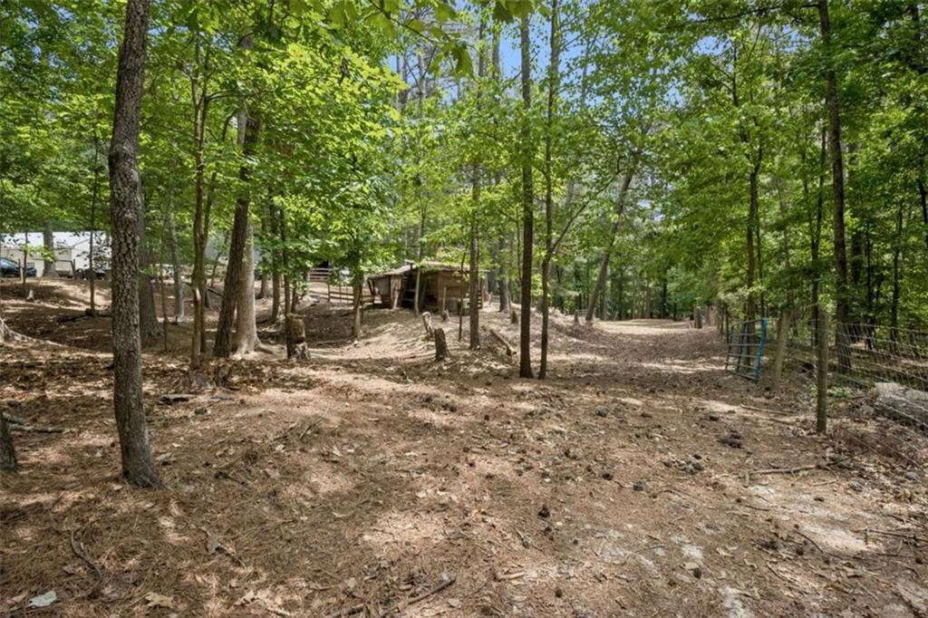 4751 Bill Cheek Road Auburn, GA 30011 - Photo 73 of 82 a view of a forest with trees in the background