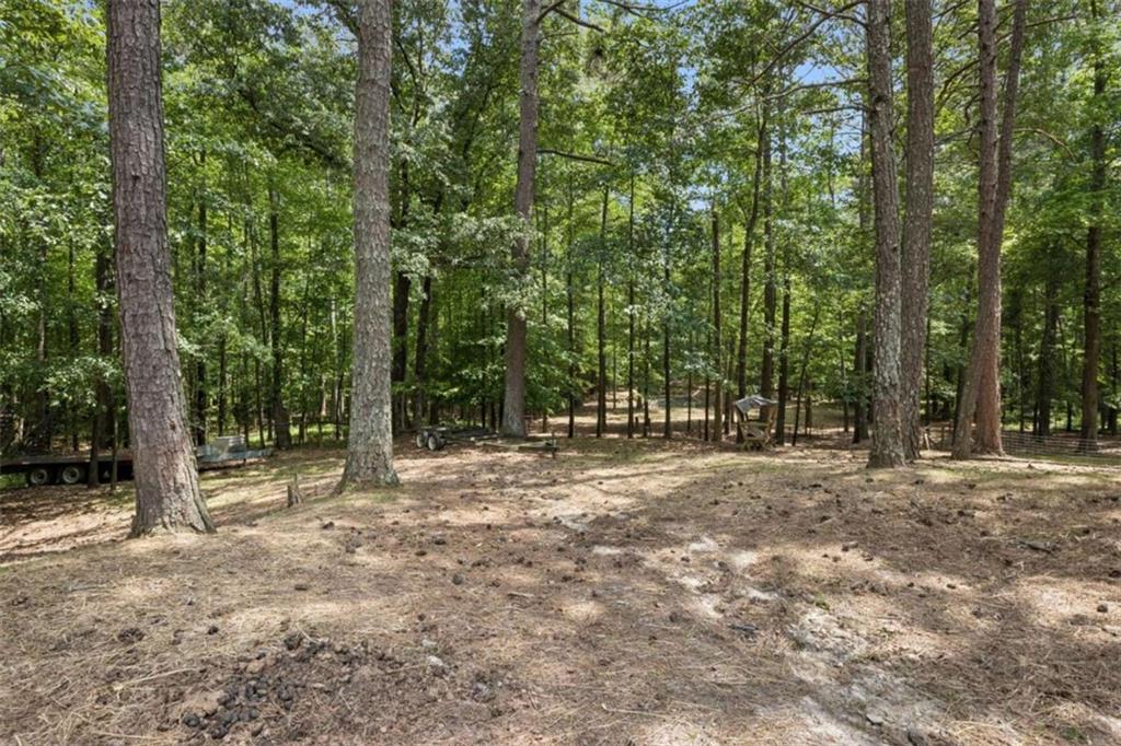 4751 Bill Cheek Road Auburn, GA 30011 - Photo 74 of 82 a view of a forest with trees in the background