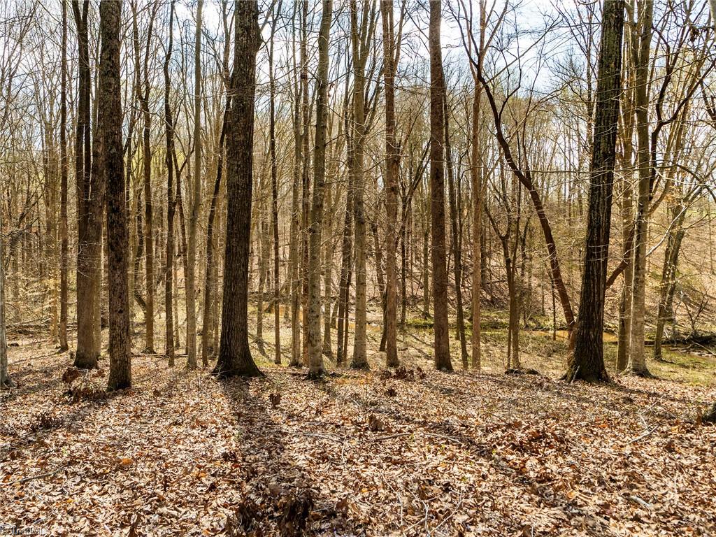725 Hudson Road Summerfield, NC 27358 - Photo 29 of 36 View of the front yard.