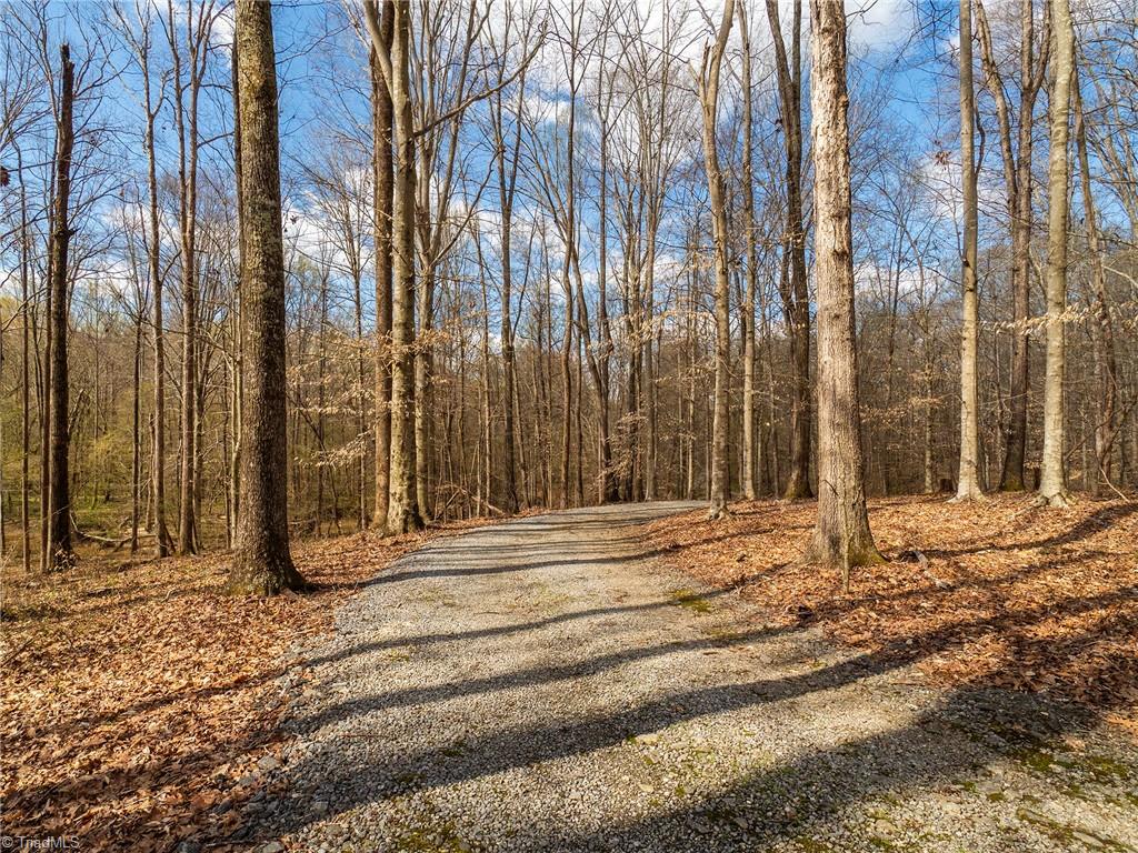 725 Hudson Road Summerfield, NC 27358 - Photo 7 of 36 Long private driveway .