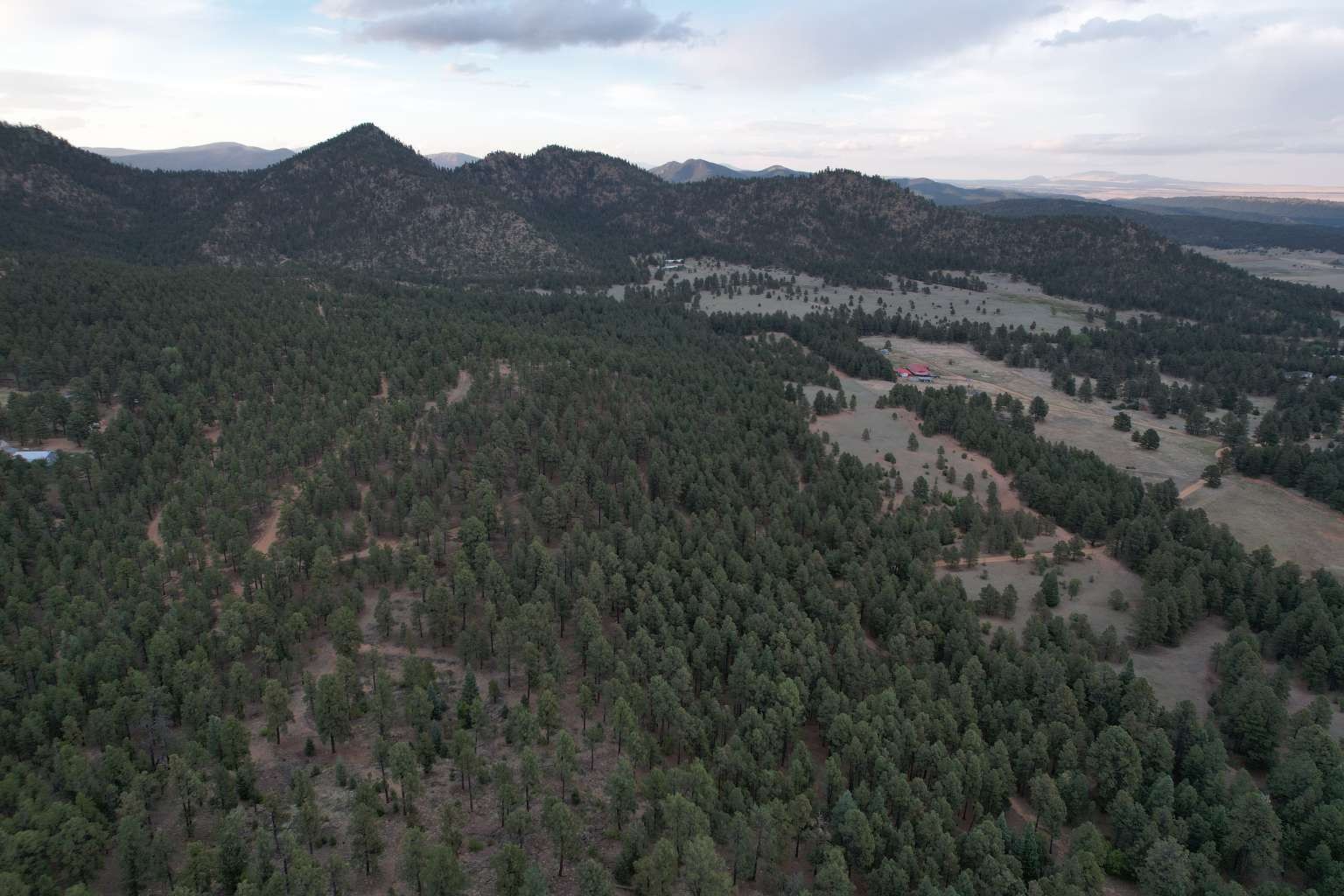 0 A015 County Road Mora, NM 87732 - Photo 18 of 40