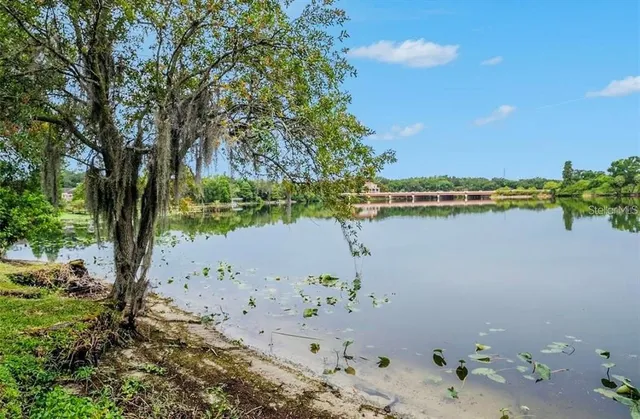 a view of outdoor space with trees all around