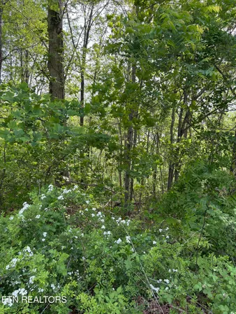 $23,100 | Lot 168 Saddle Ridge Drive, Speedwell, TN 37870