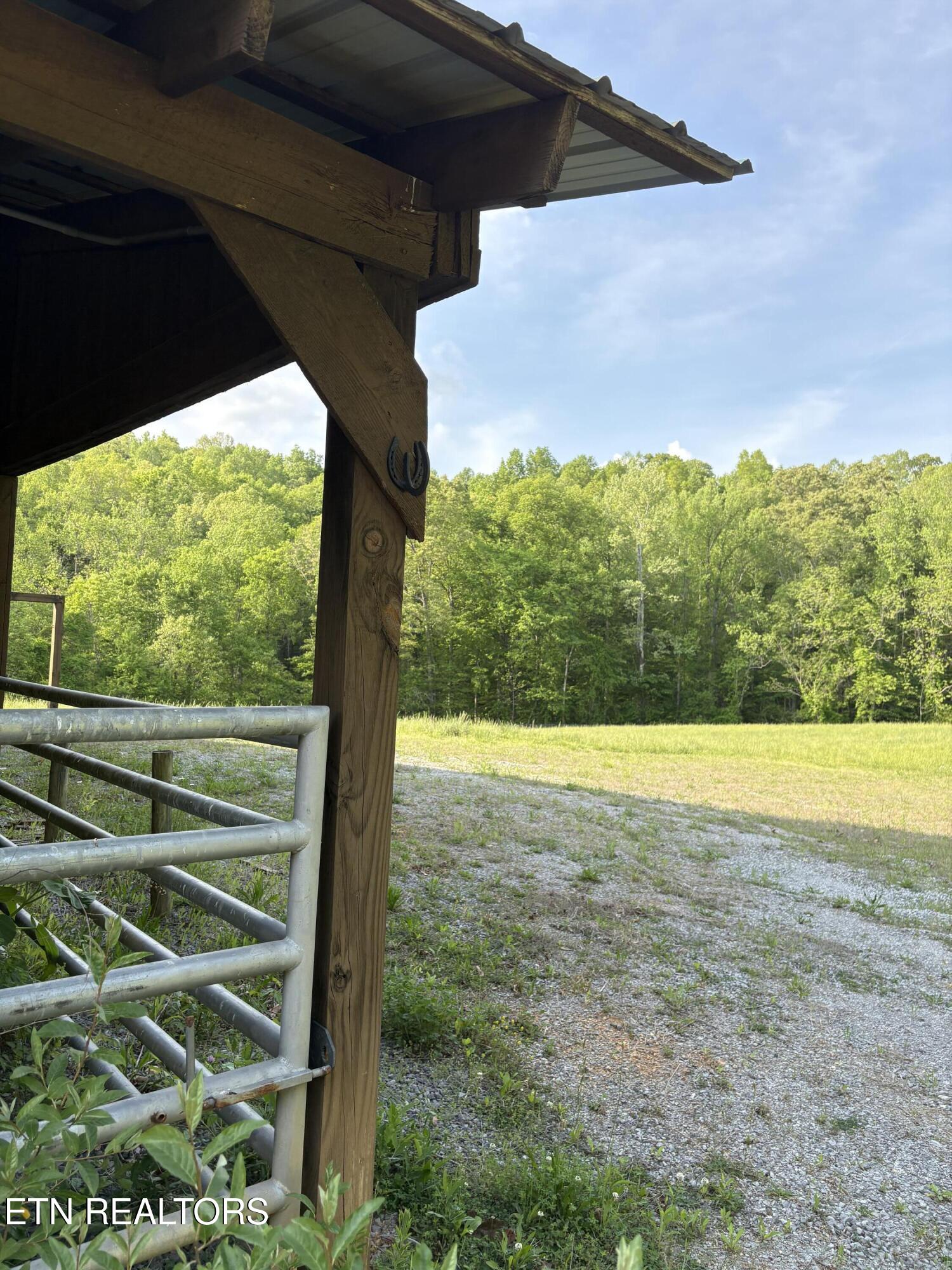 Lot 168 Saddle Ridge Drive Speedwell, TN 37870 - Photo 14 of 15 IMG_8748