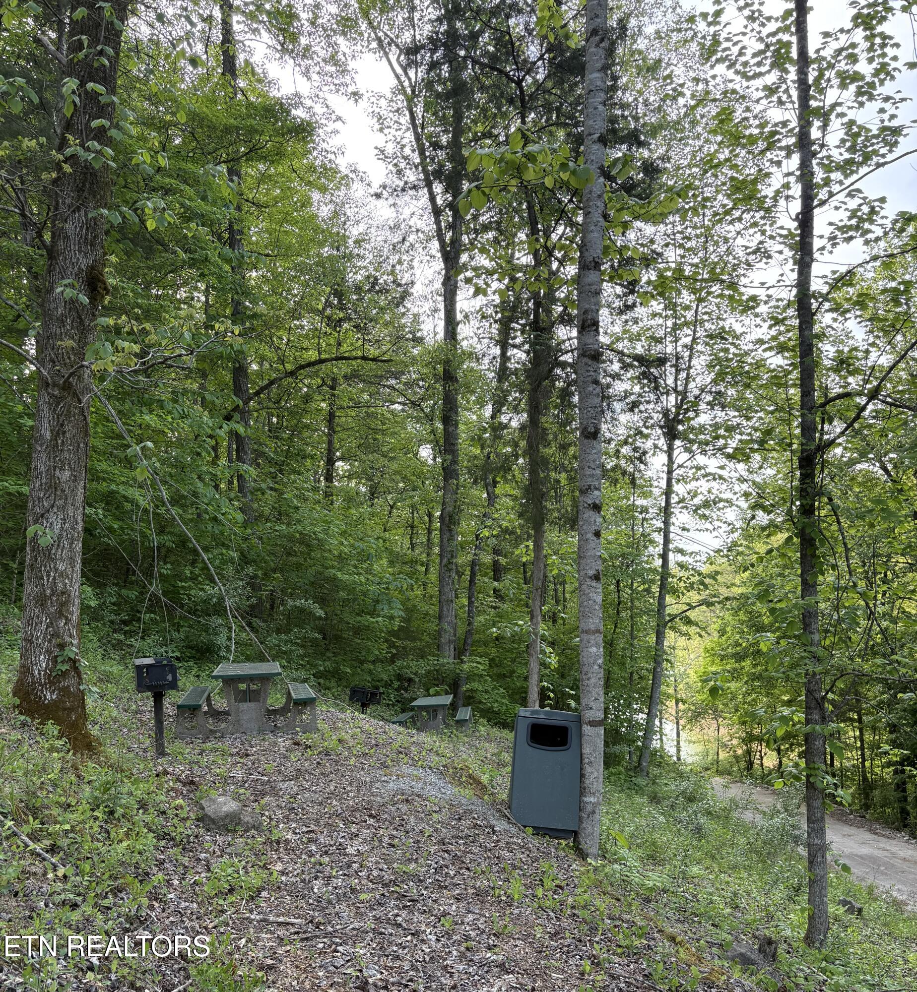 Lot 168 Saddle Ridge Drive Speedwell, TN 37870 - Photo 15 of 15 IMG_8888