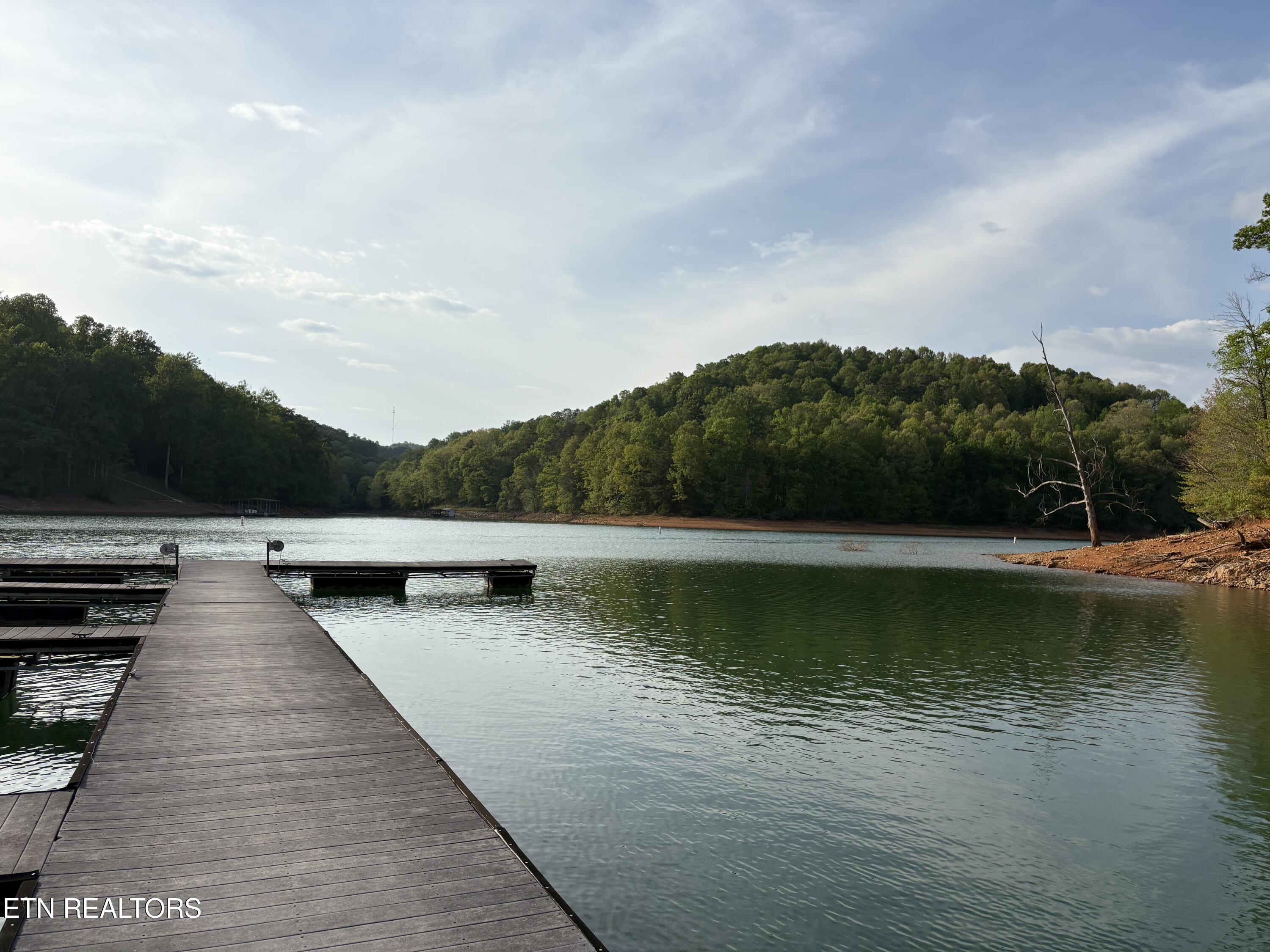 Lot 168 Saddle Ridge Drive Speedwell, TN 37870 - Photo 10 of 15 IMG_8867
